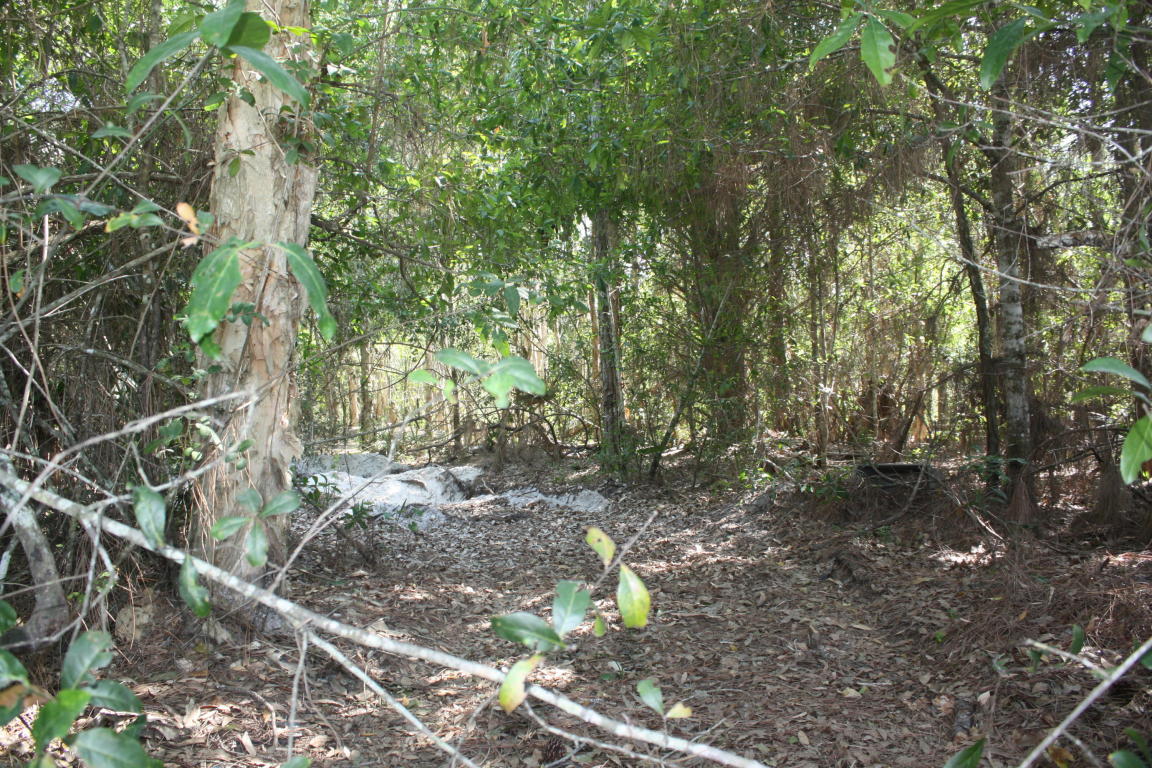 Xxxx 64th Place N, Loxahatchee, FL 33470