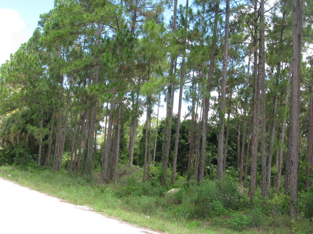 17351 75th Place N, Loxahatchee, FL 33470