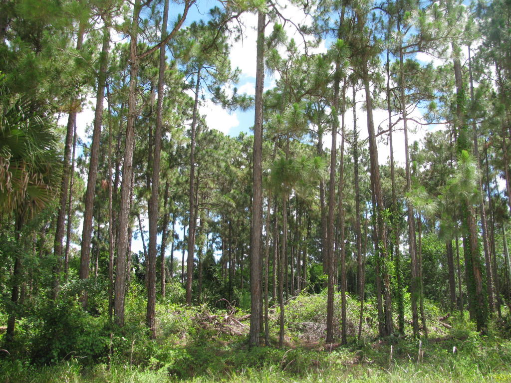17351 75th Place N, Loxahatchee, FL 33470
