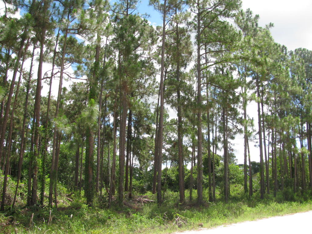 17351 75th Place N, Loxahatchee, FL 33470