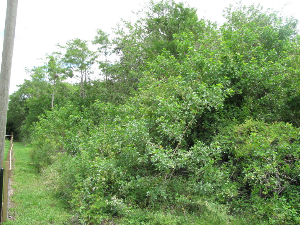 Xxx 63rd Road N, Loxahatchee, FL 33470