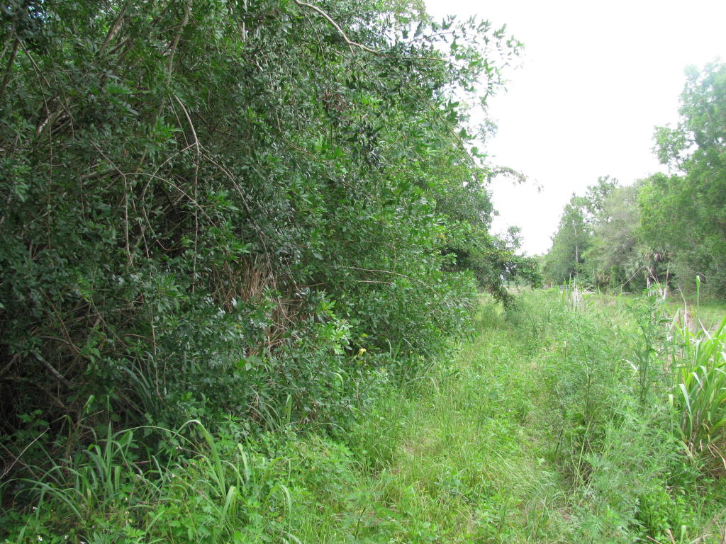 Xxx 63rd Road N, Loxahatchee, FL 33470