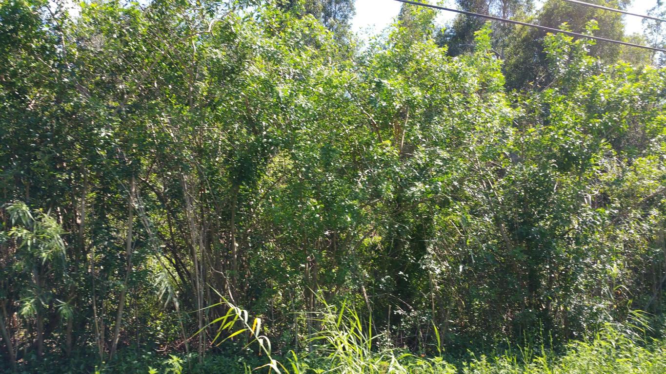 Xx 82nd Lane, Loxahatchee, FL 33470