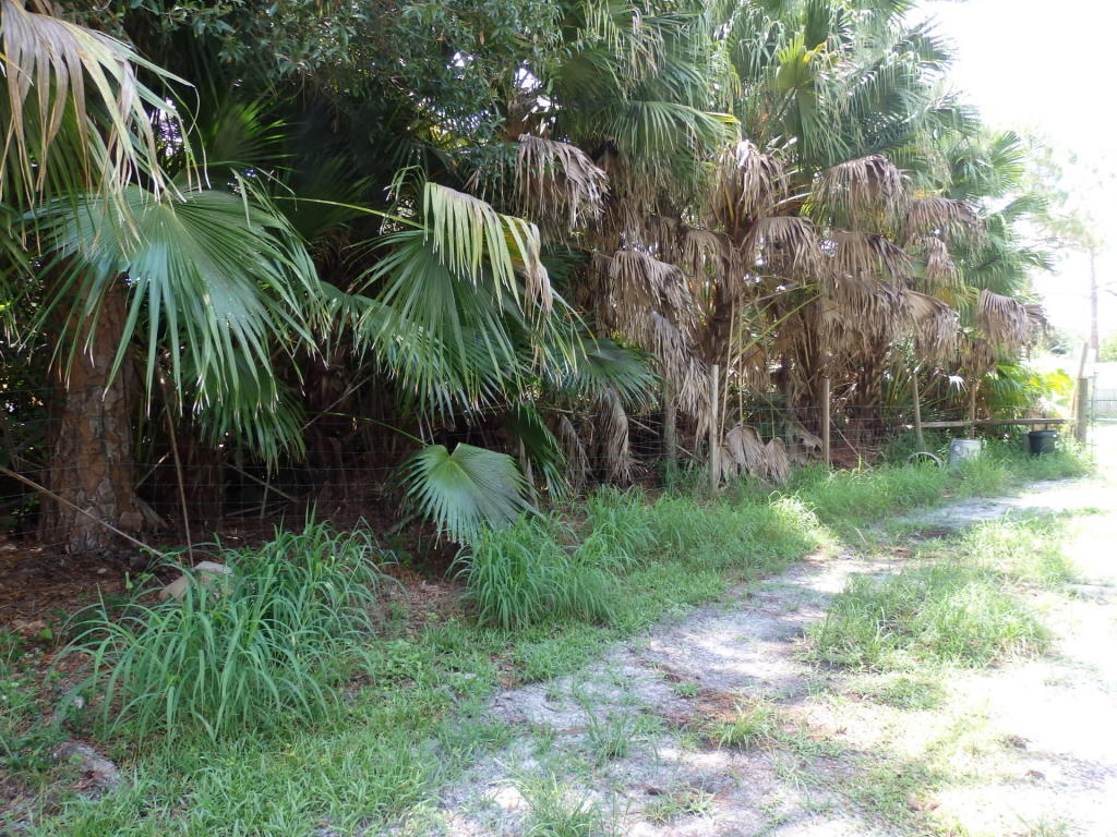 17605 70th Street N, Loxahatchee, FL 33470