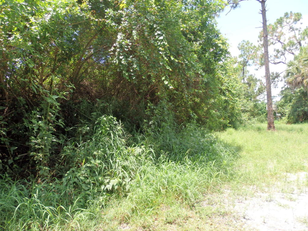 17605 70th Street N, Loxahatchee, FL 33470
