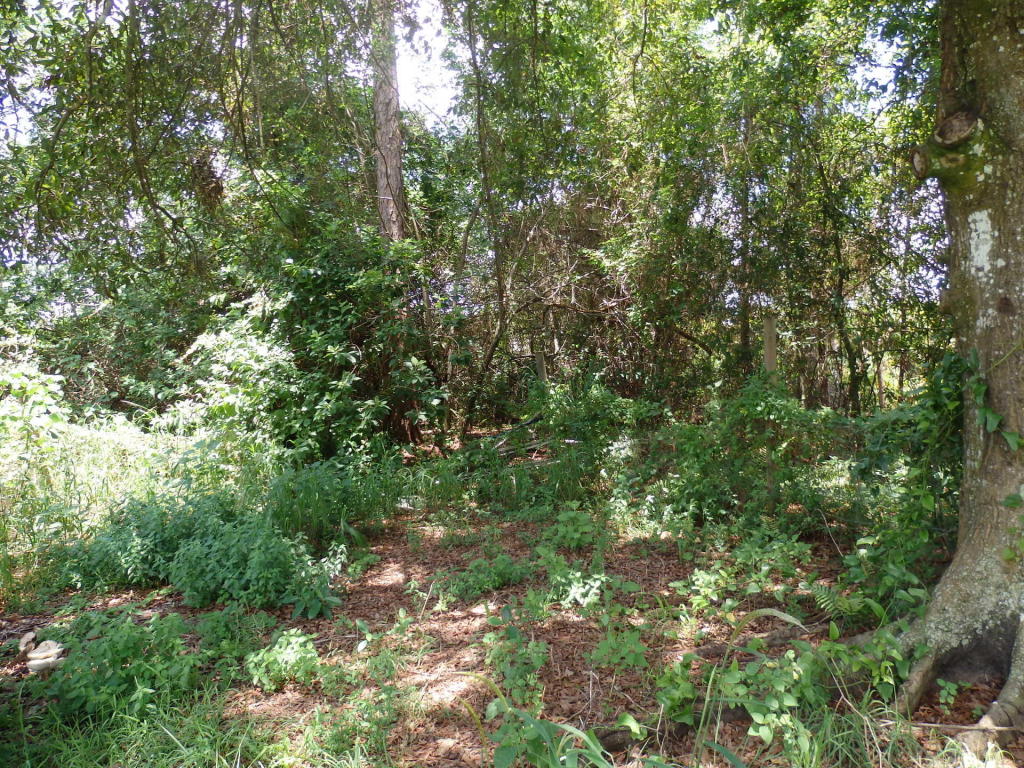 17605 70th Street N, Loxahatchee, FL 33470