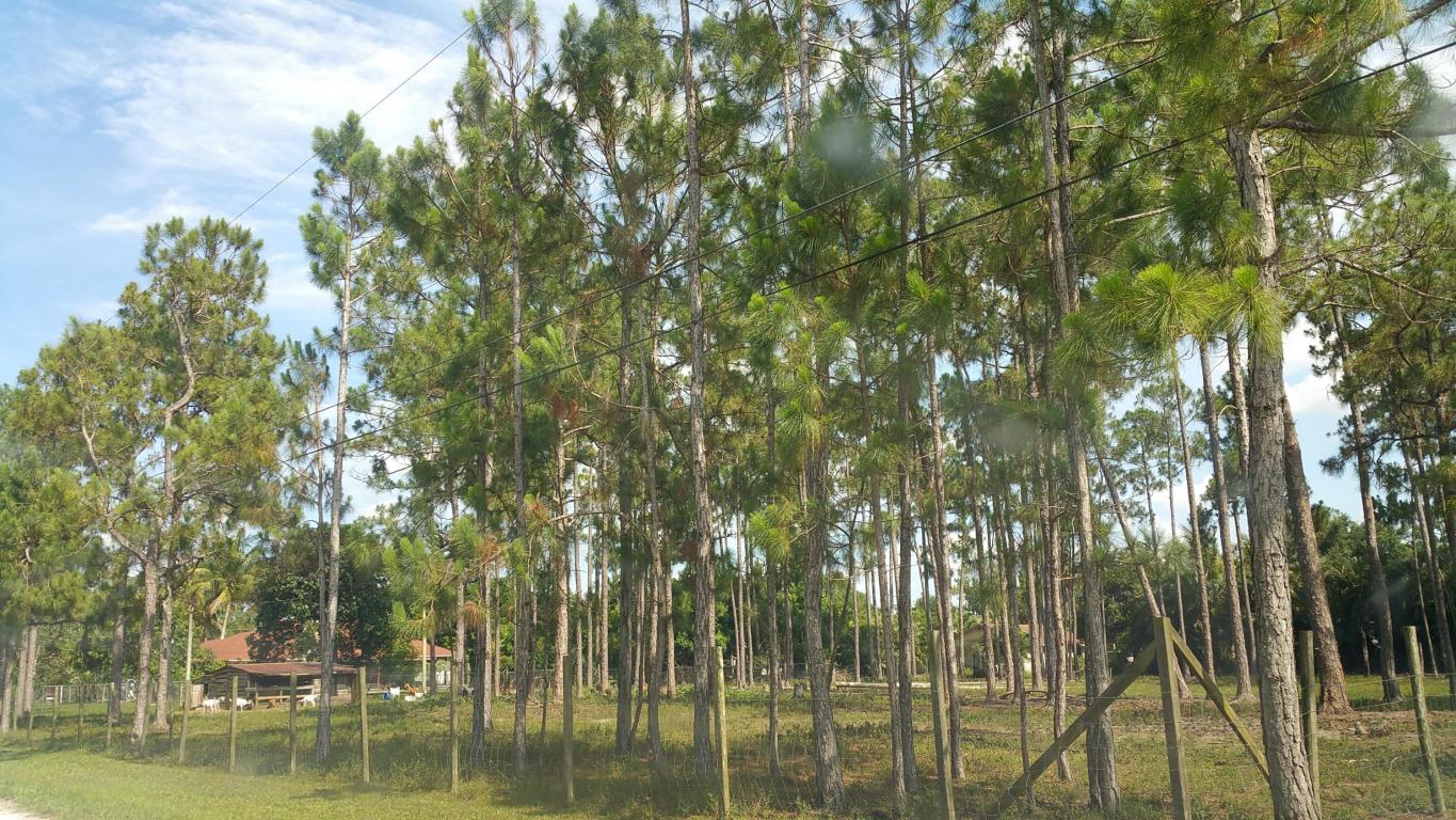 Xx 89th Place, Loxahatchee, FL 33470