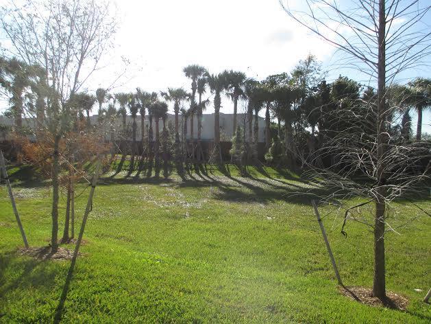 118 Diamante Way, Jupiter, FL 33477