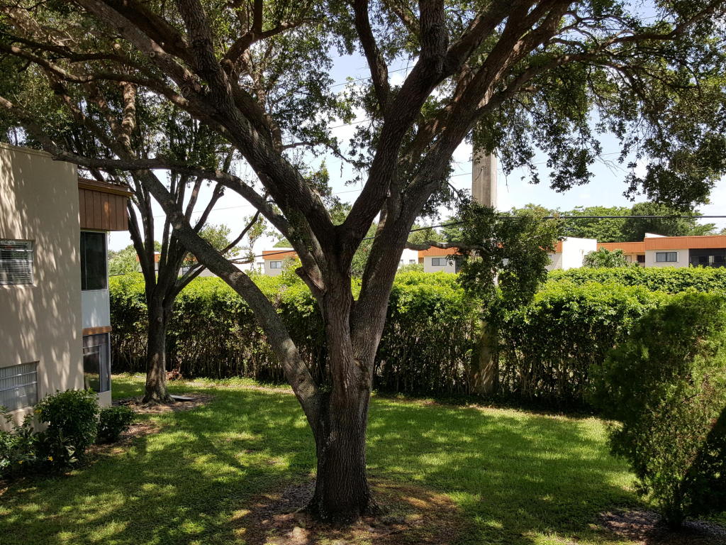 473 Normandy J, Delray Beach, FL 33484