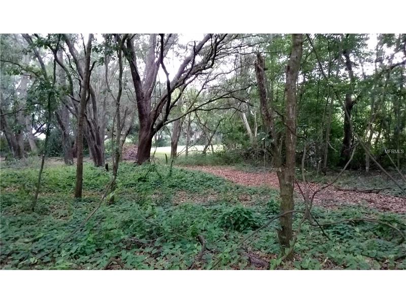 MAY STREET, Brandon, FL 33510