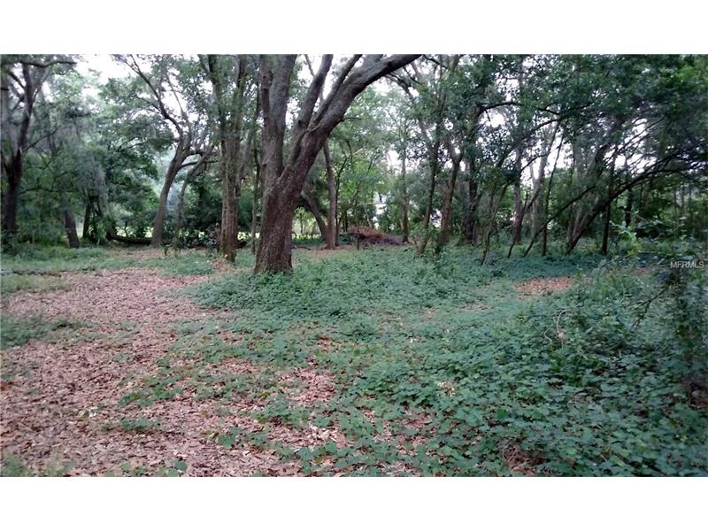 MAY STREET, Brandon, FL 33510