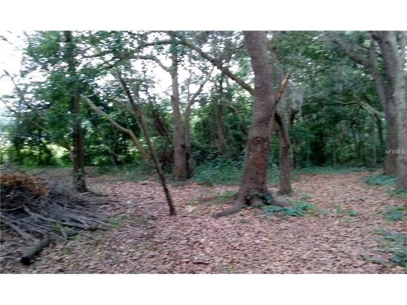 MAY STREET, Brandon, FL 33510