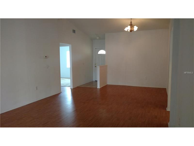 1428 BIRCHSTONE AVENUE, Brandon, FL 33511