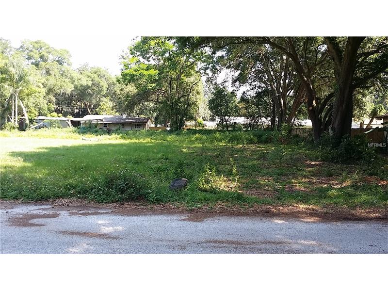 LISA, Brandon, FL 33511