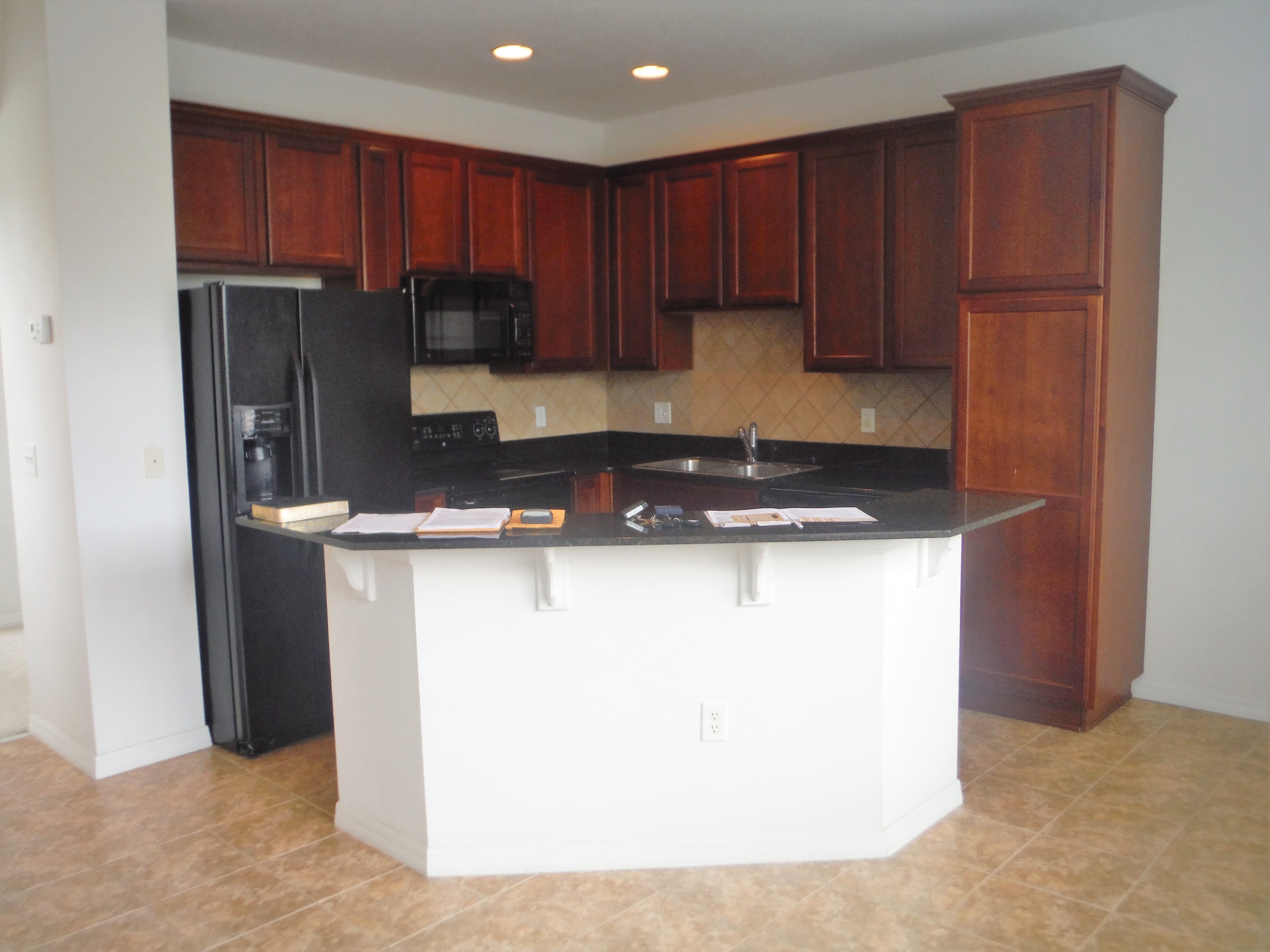 1307 Salem Orchard Ln, Brandon, FL 33511