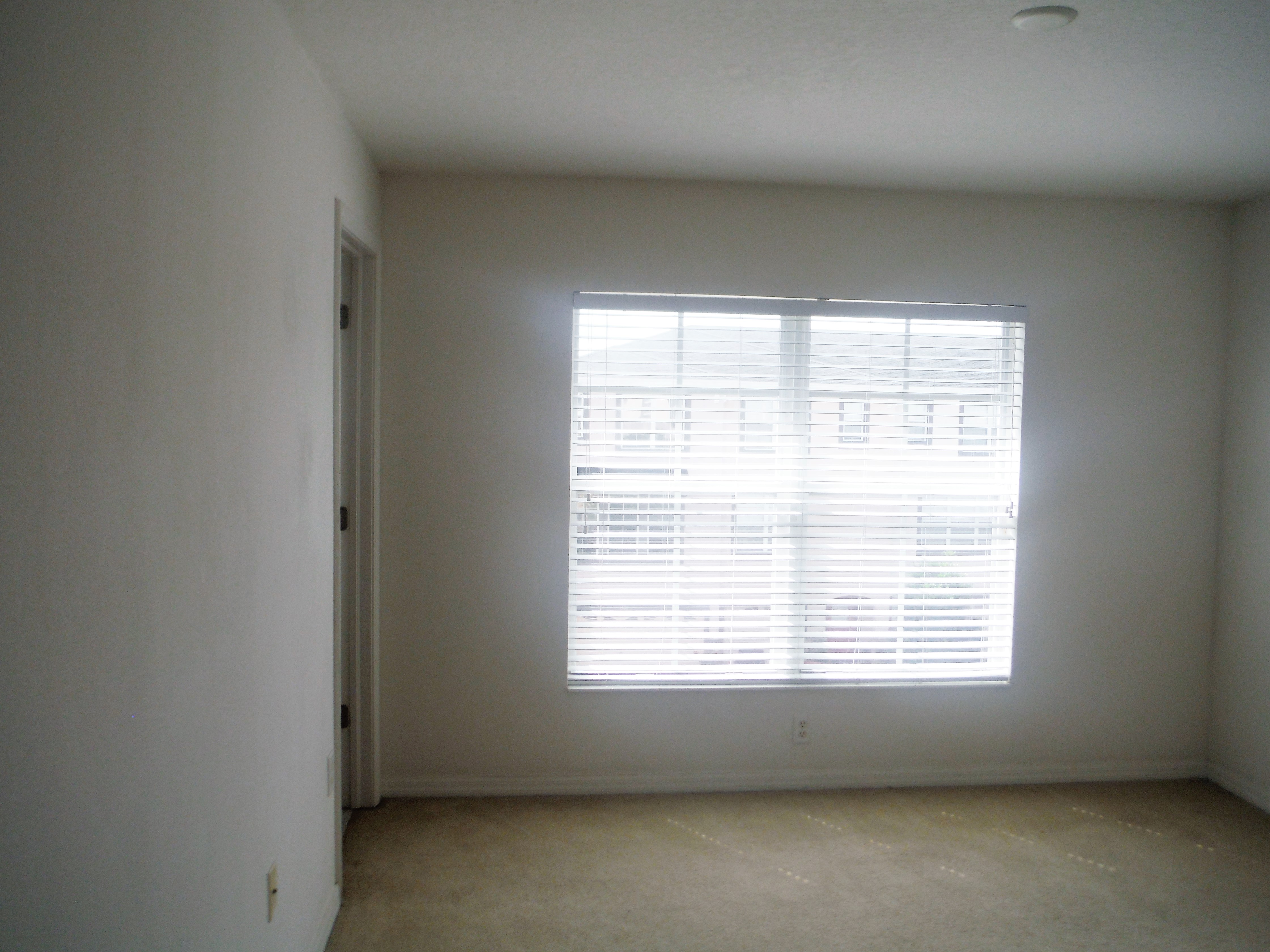 1307 Salem Orchard Ln, Brandon, FL 33511