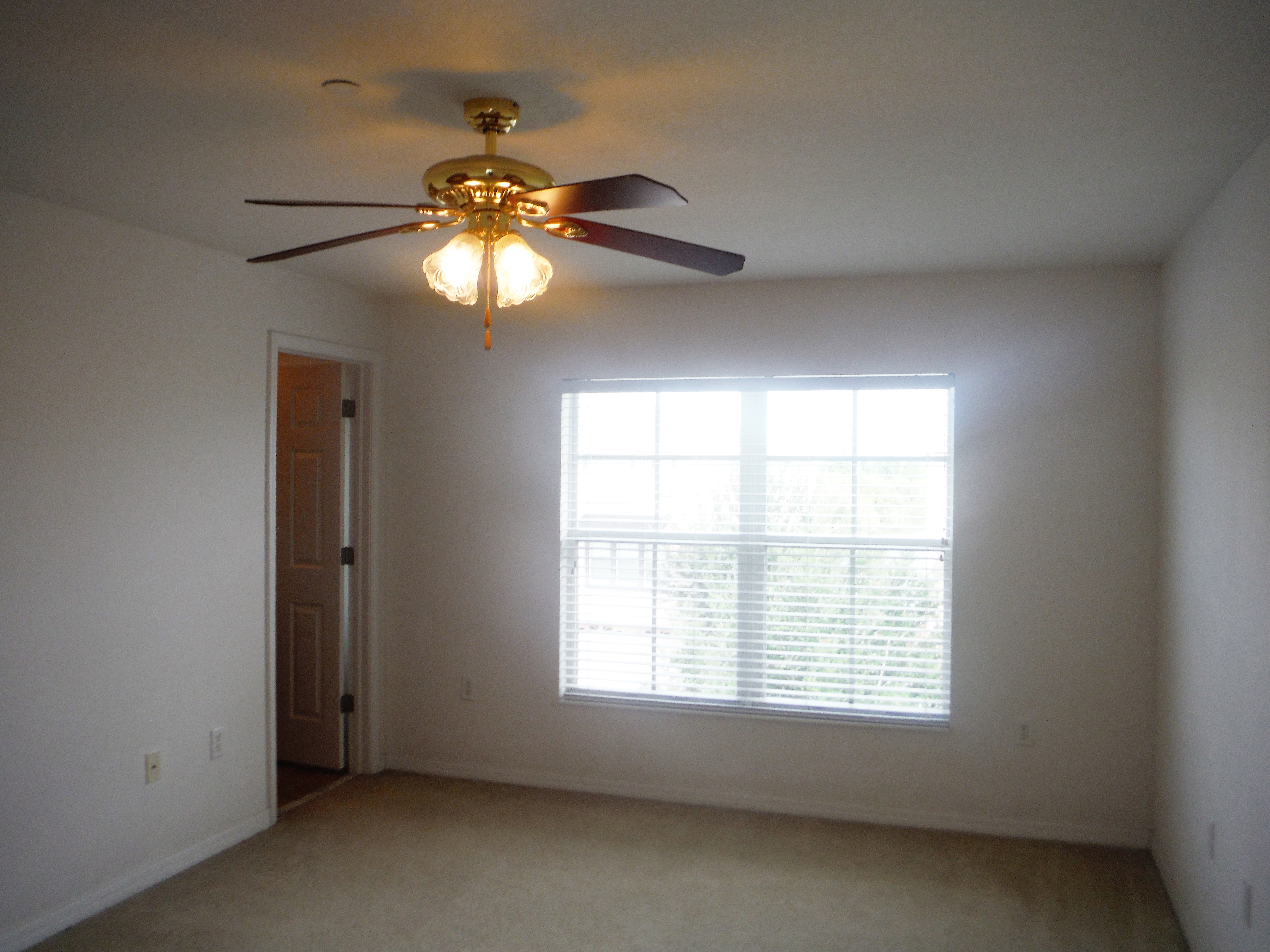 1307 Salem Orchard Ln, Brandon, FL 33511