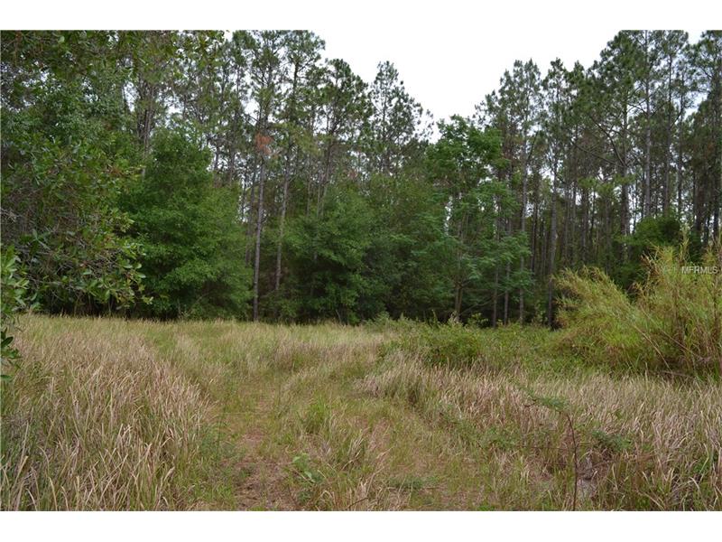 0000 REED, Dade City, FL 33523