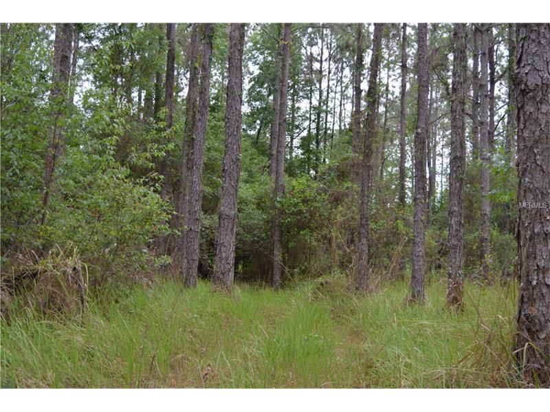 0000 REED, Dade City, FL 33523