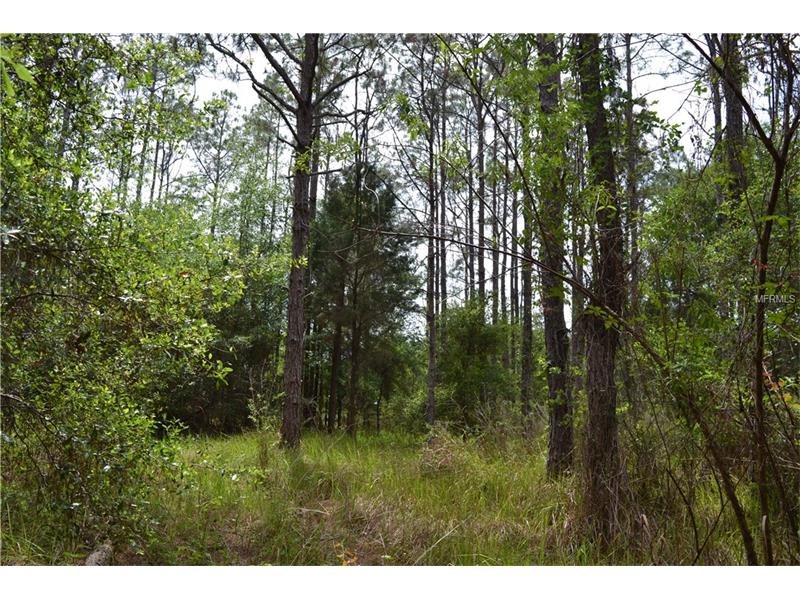 0000 REED, Dade City, FL 33523