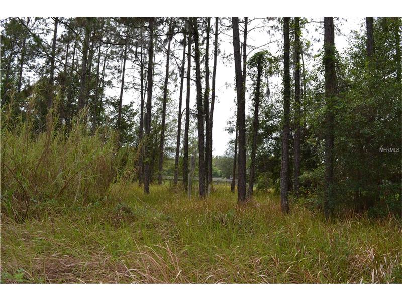 0000 REED, Dade City, FL 33523