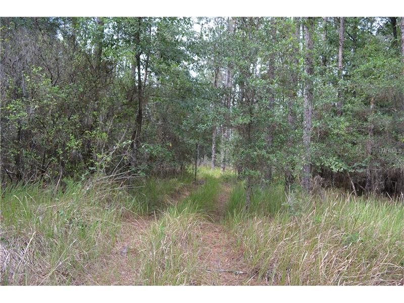 0000 REED, Dade City, FL 33523