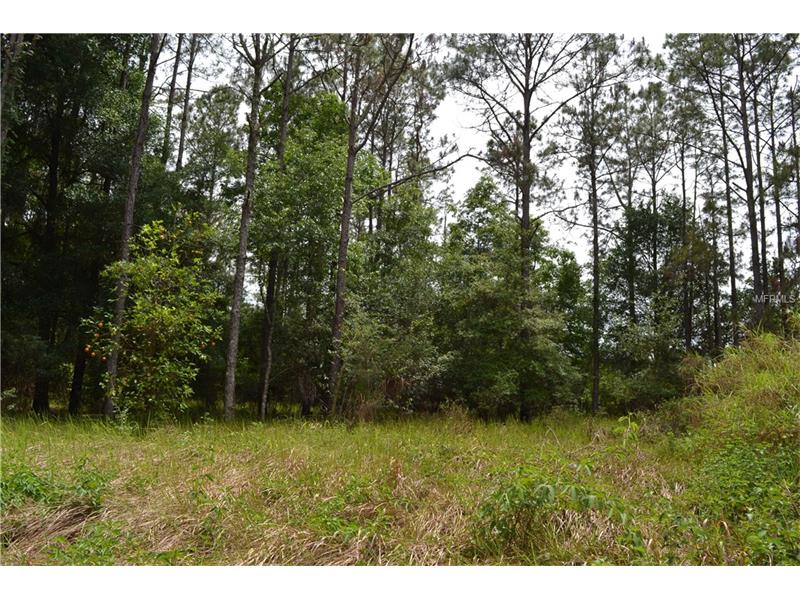 0000 REED, Dade City, FL 33523