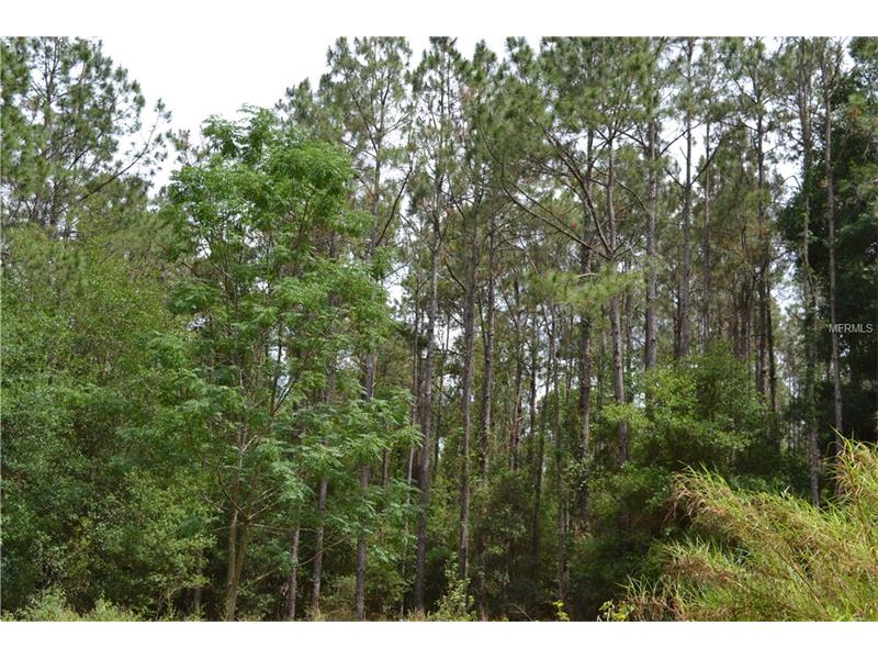 0000 REED, Dade City, FL 33523