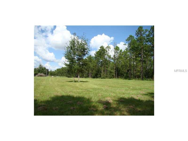 14 REED ROAD, Dade City, FL 33523