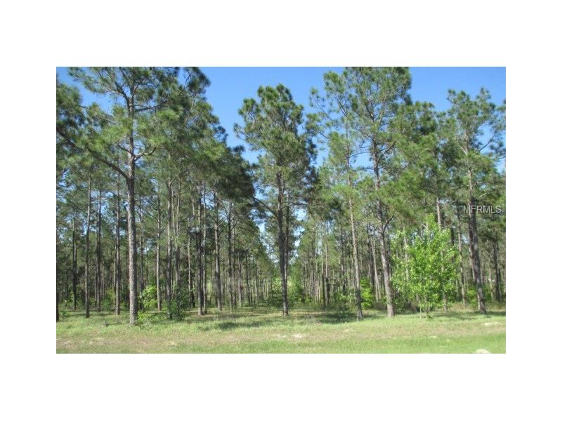 PONY POND RD.-LOT 62 ROAD, Dade City, FL 33523