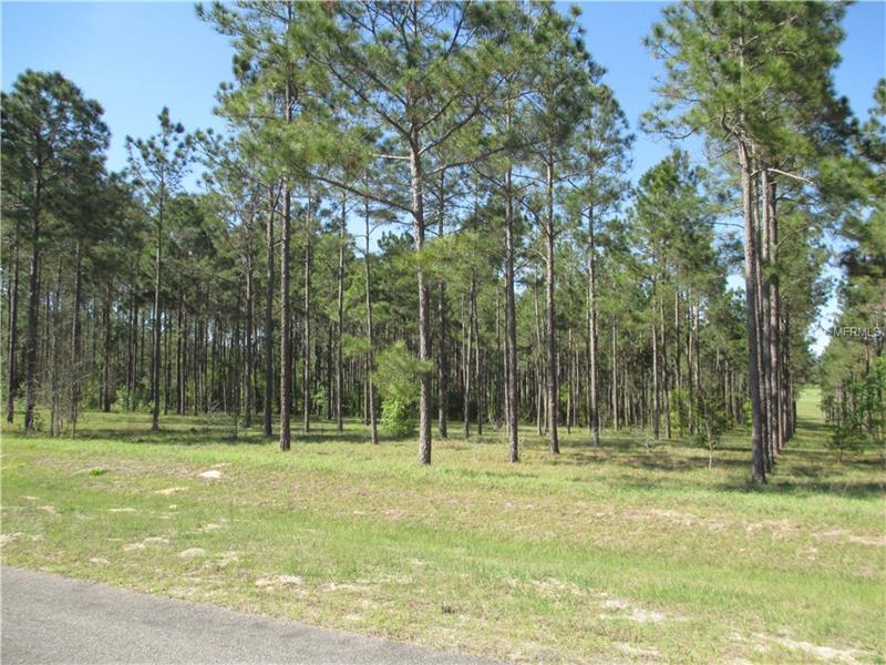 PONY POND RD.-LOT 62 ROAD, Dade City, FL 33523