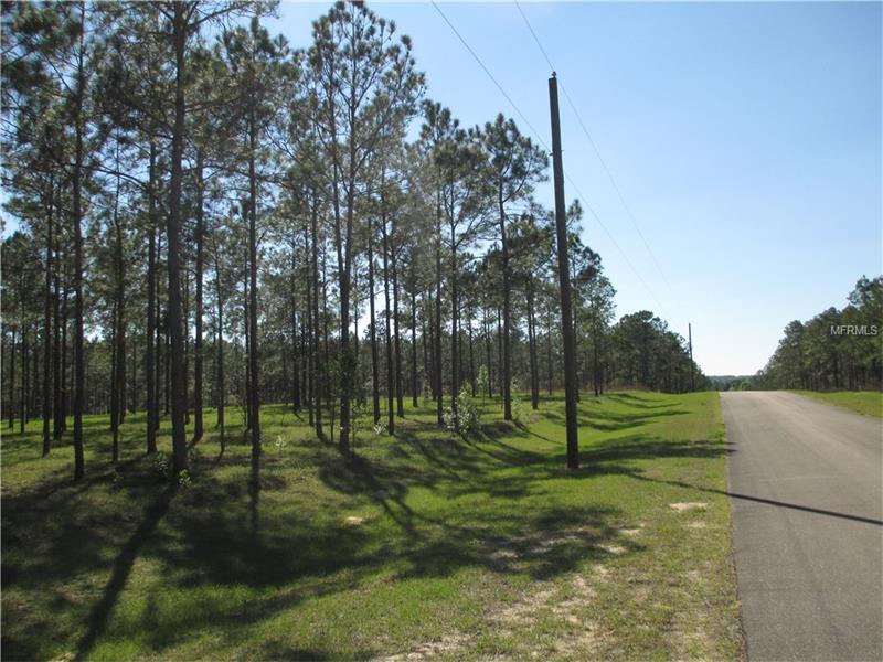 PONY POND RD.-LOT 62 ROAD, Dade City, FL 33523