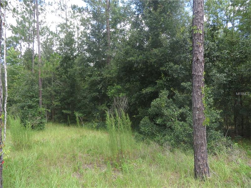 18505 HOLLOWAY LANE, Dade City, FL 33523