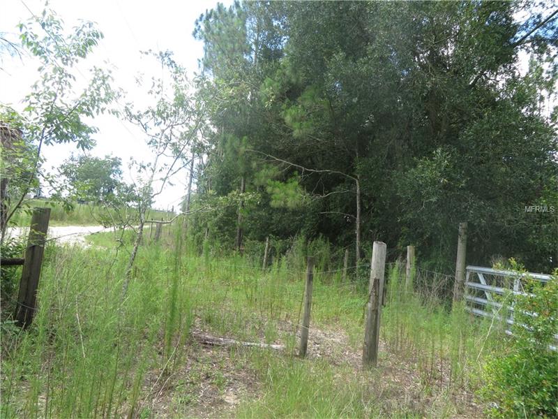 18505 HOLLOWAY LANE, Dade City, FL 33523