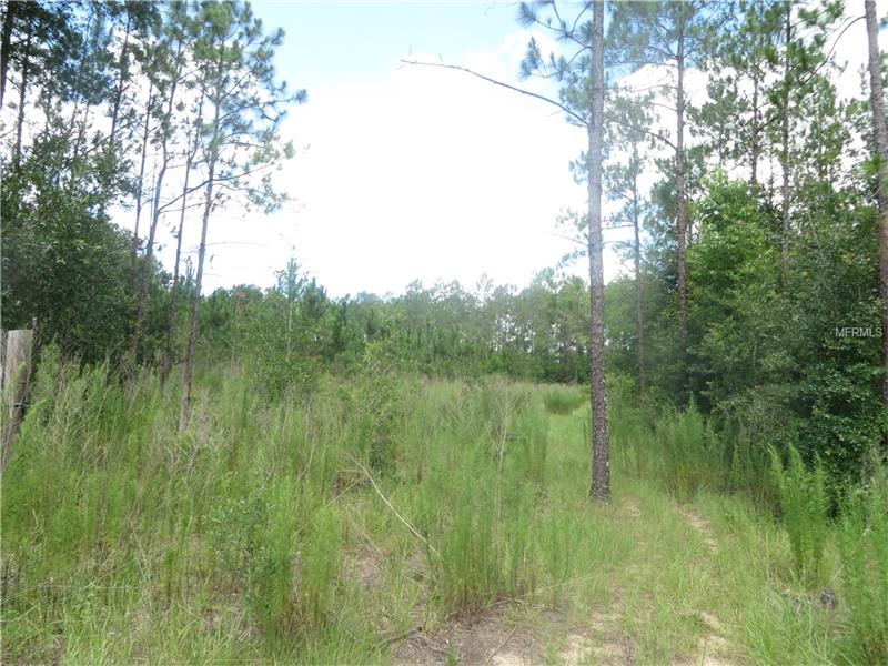 18505 HOLLOWAY LANE, Dade City, FL 33523