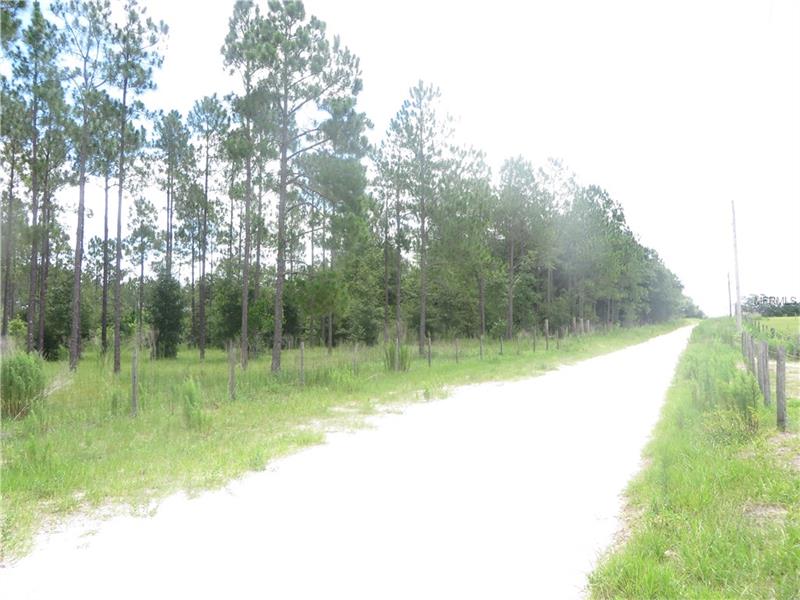 18505 HOLLOWAY LANE, Dade City, FL 33523