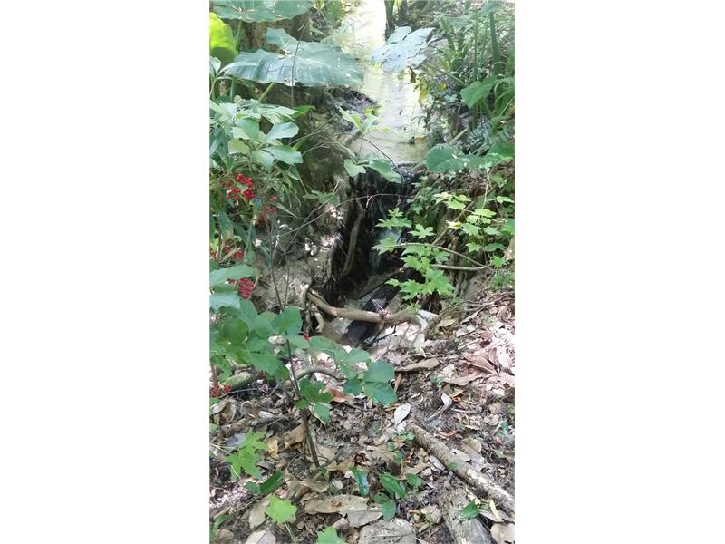 CHIPCO RANCH, Dade City, FL 33523