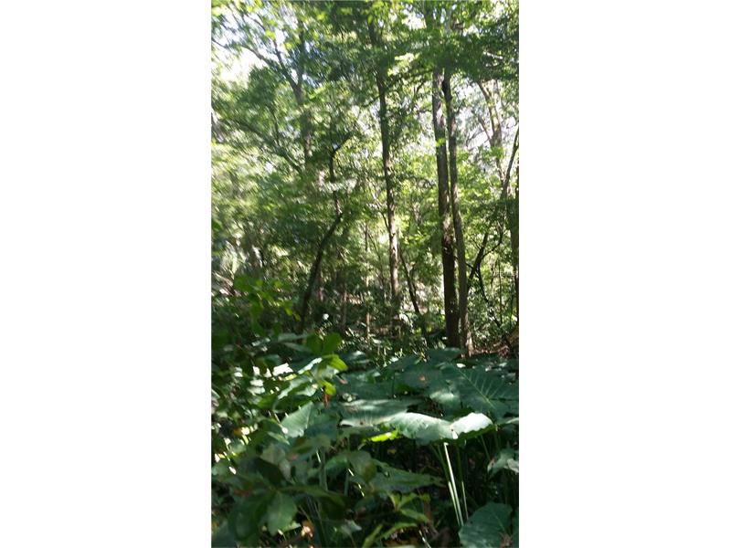 CHIPCO RANCH, Dade City, FL 33523