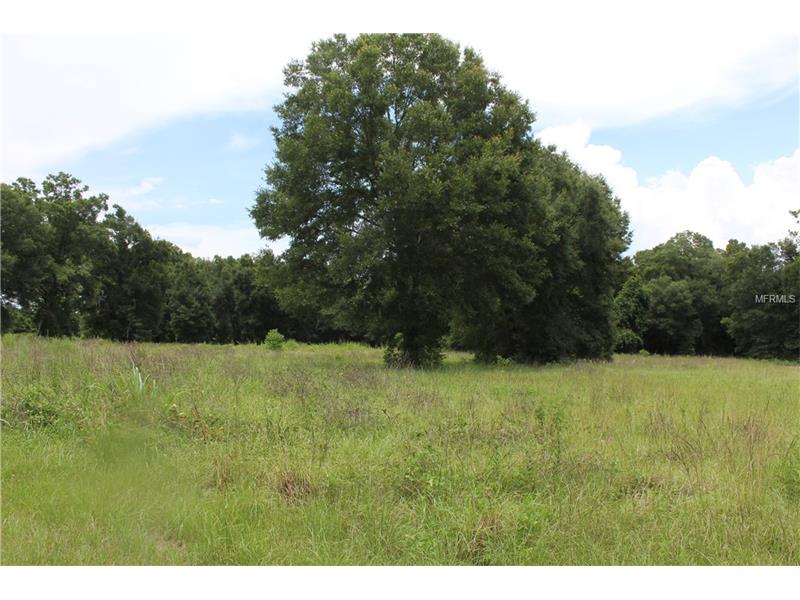 OPPORTUNITY WAY, Dade City, FL 33525