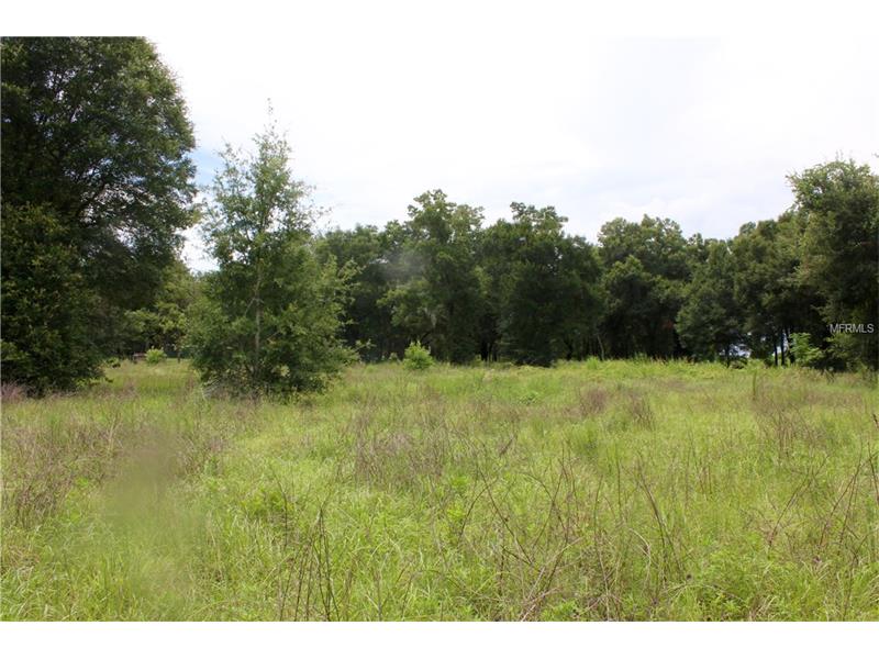OPPORTUNITY WAY, Dade City, FL 33525