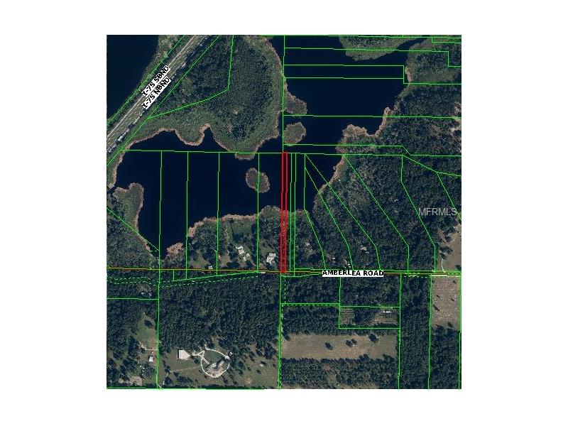 AMBERLEA ROAD, Dade City, FL 33525