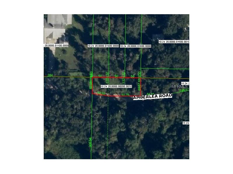 AMBERLEA ROAD, Dade City, FL 33525