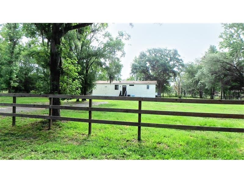 6006 LOTTA WATTA LANE, Dover, FL 33527