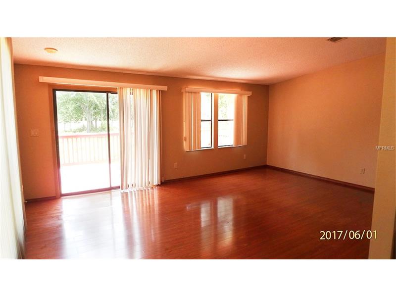 6006 LOTTA WATTA LANE, Dover, FL 33527