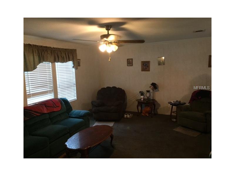 14620 Downing Street, Dover, FL 33527