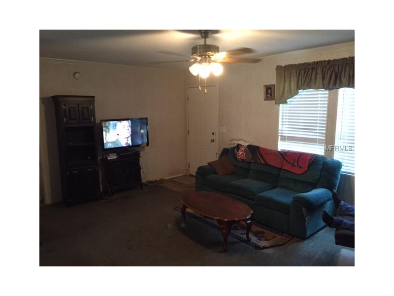 14620 Downing Street, Dover, FL 33527