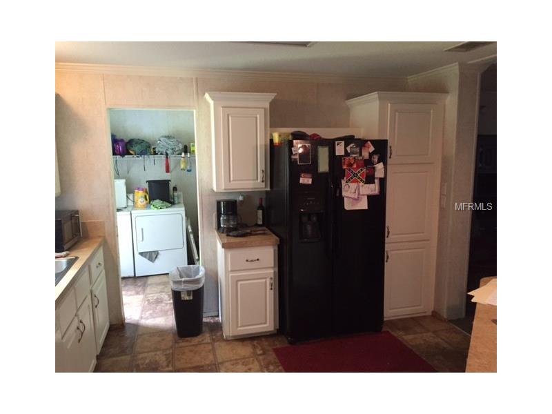 14620 Downing Street, Dover, FL 33527