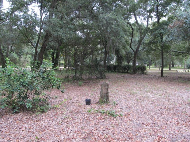 1851 STEPHENS LANE, Dover, FL 33527