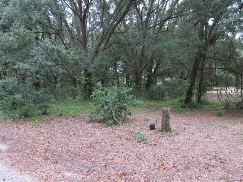 1851 STEPHENS LANE, Dover, FL 33527