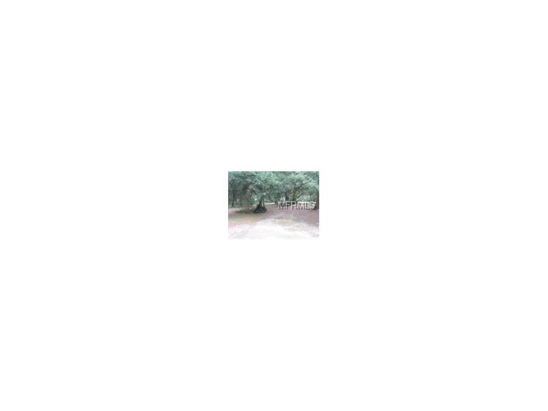1851 STEPHENS LANE, Dover, FL 33527